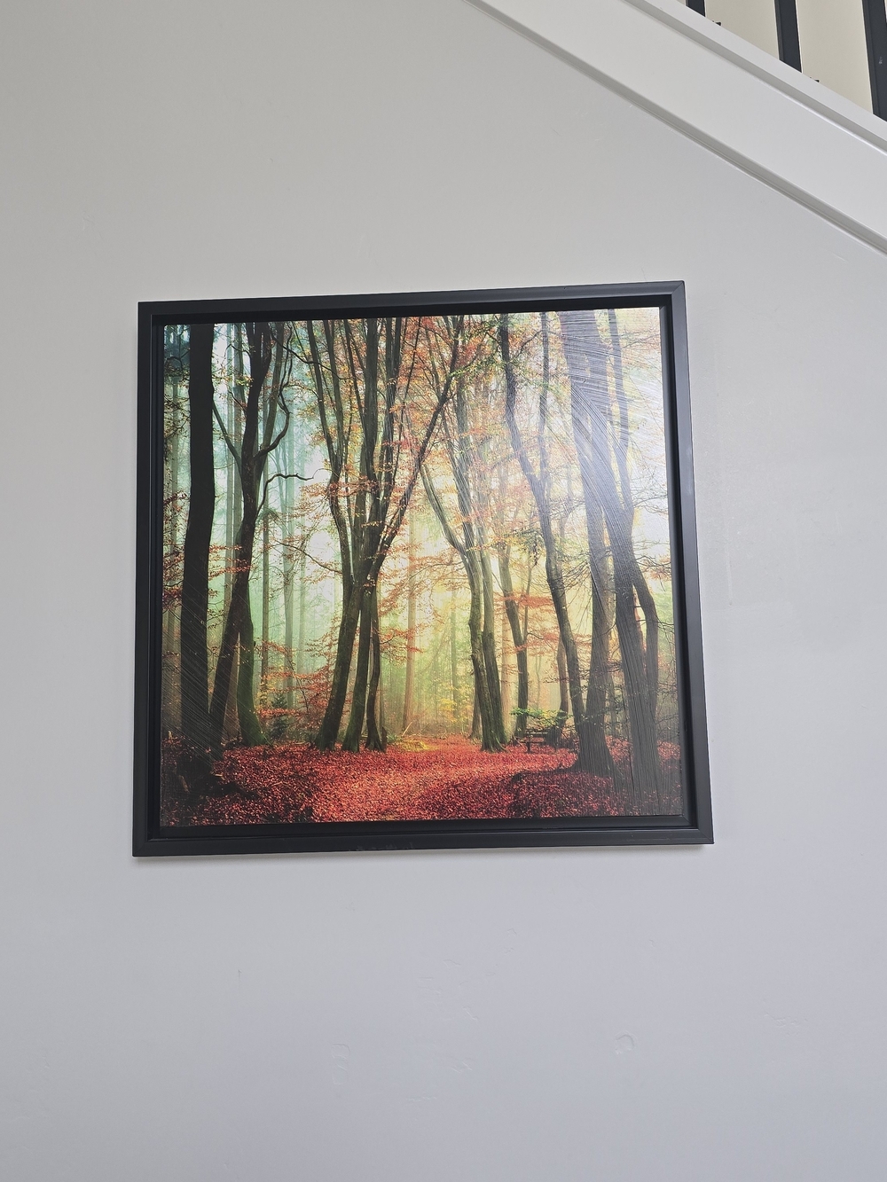 Framed Autumn Forest Wall Art Print - Red & Green
